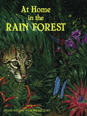 cover image of At Home in the Rain Forest